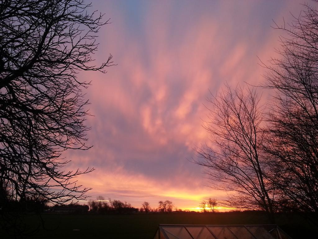 Roskilde B&B Gadstrup ภายนอก รูปภาพ