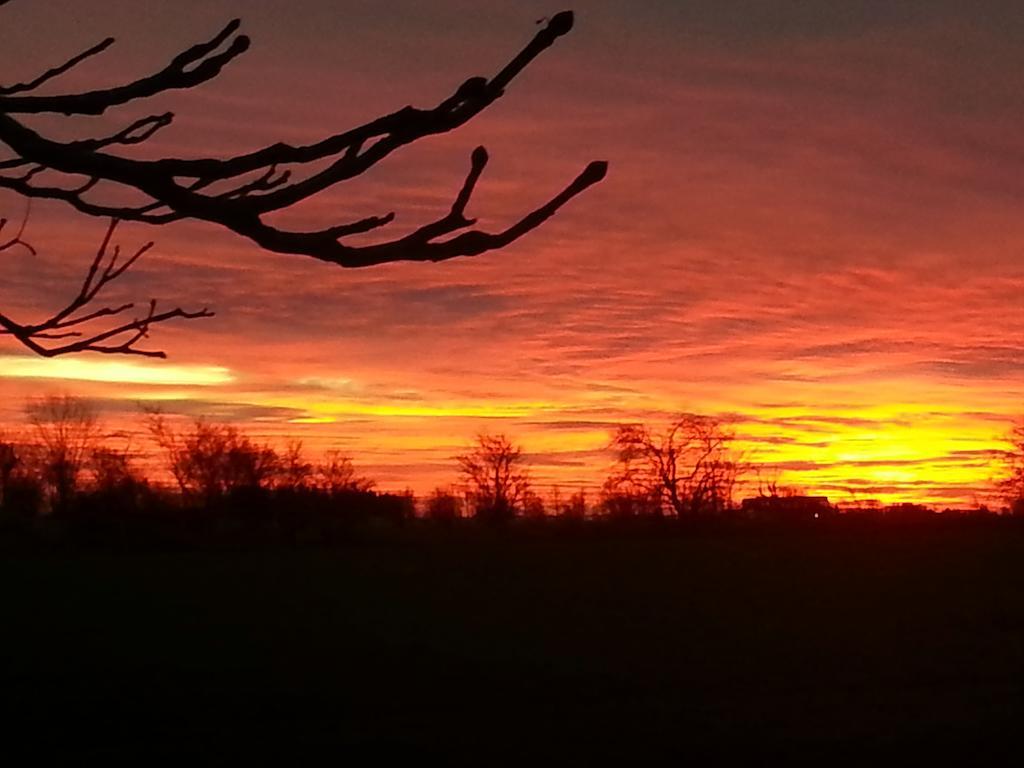 Roskilde B&B Gadstrup ภายนอก รูปภาพ