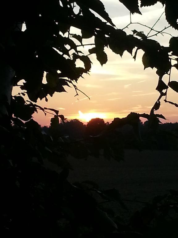 Roskilde B&B Gadstrup ภายนอก รูปภาพ