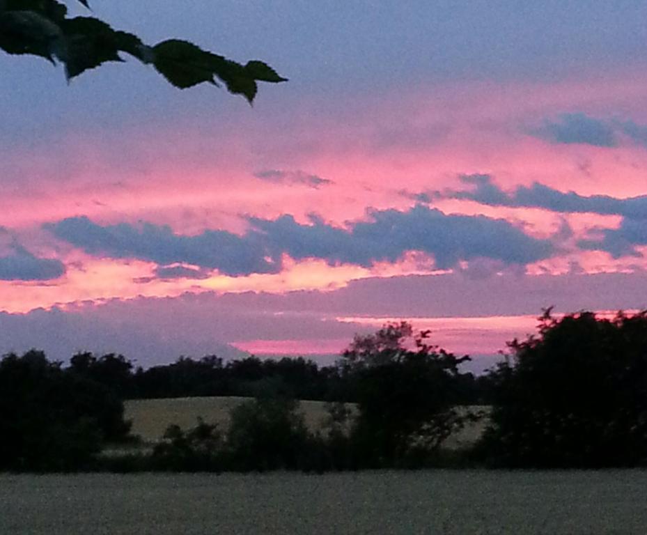Roskilde B&B Gadstrup ภายนอก รูปภาพ