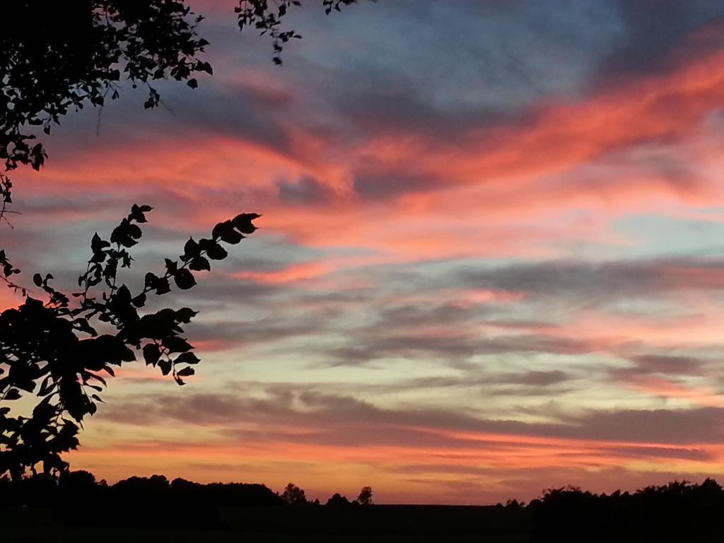 Roskilde B&B Gadstrup ภายนอก รูปภาพ
