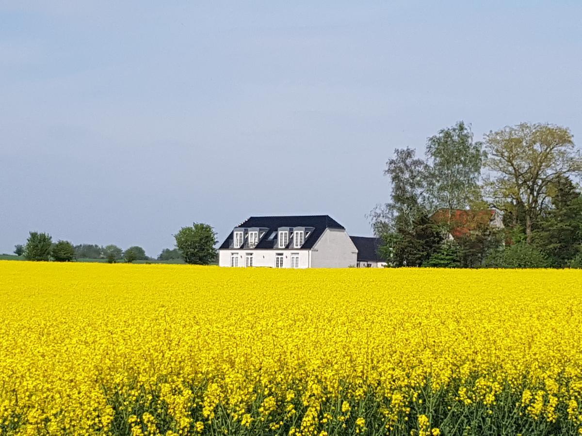 Roskilde B&B Gadstrup ภายนอก รูปภาพ